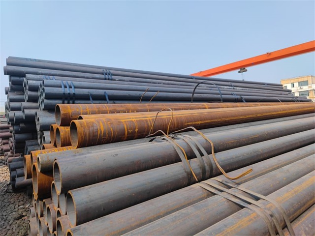 IMG_20230401_153629.jpg IMG_20230401_153629.jpg